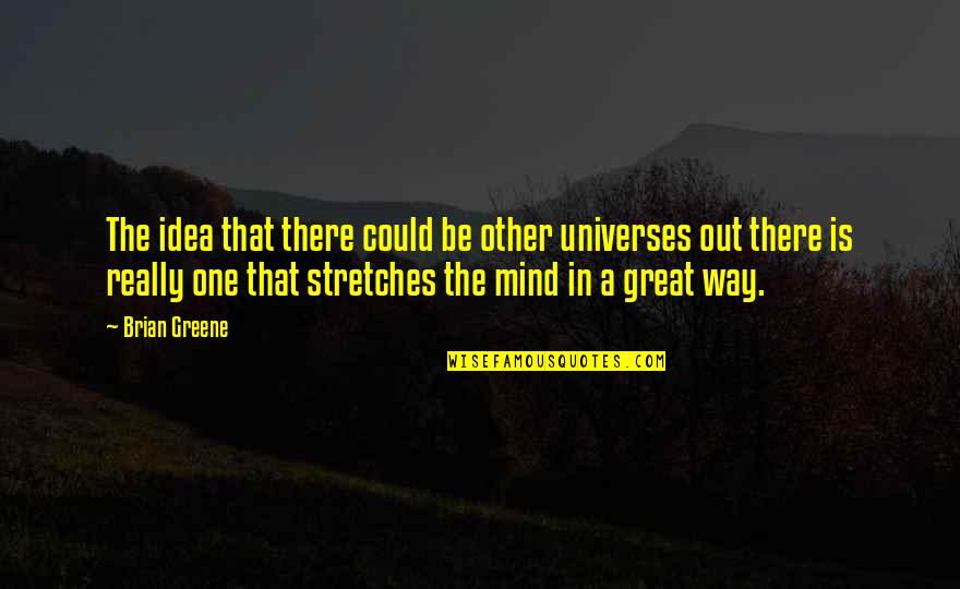 In & Out Quotes By Brian Greene: The idea that there could be other universes