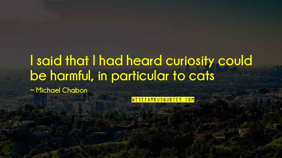 In Particular Quotes By Michael Chabon: I said that I had heard curiosity could