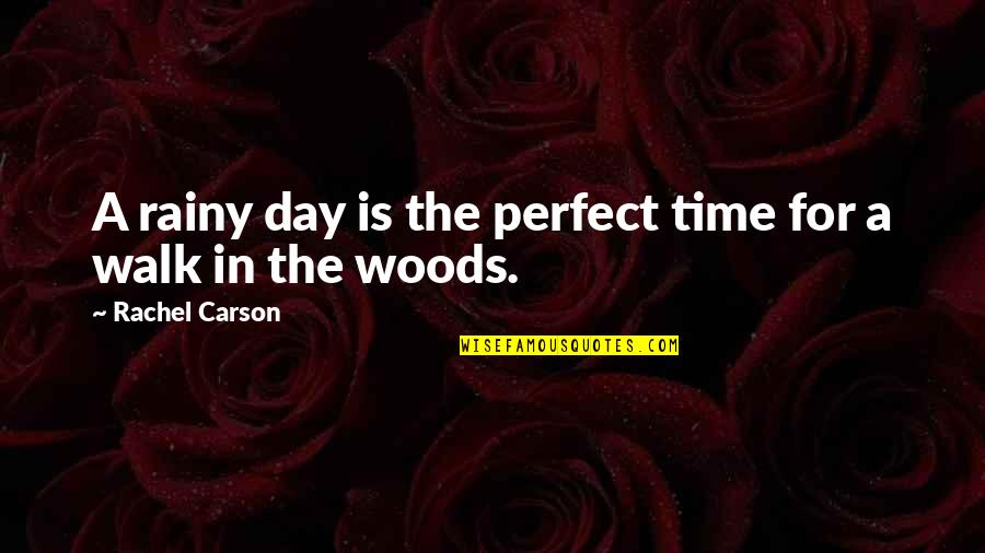 In Perfect Time Quotes By Rachel Carson: A rainy day is the perfect time for