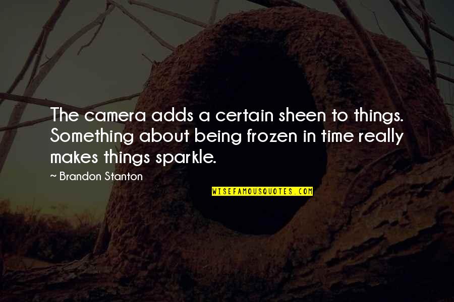 In Photography Quotes By Brandon Stanton: The camera adds a certain sheen to things.
