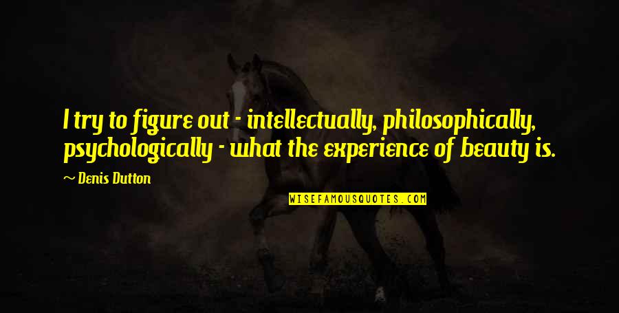 In Praise Of Folly Important Quotes By Denis Dutton: I try to figure out - intellectually, philosophically,