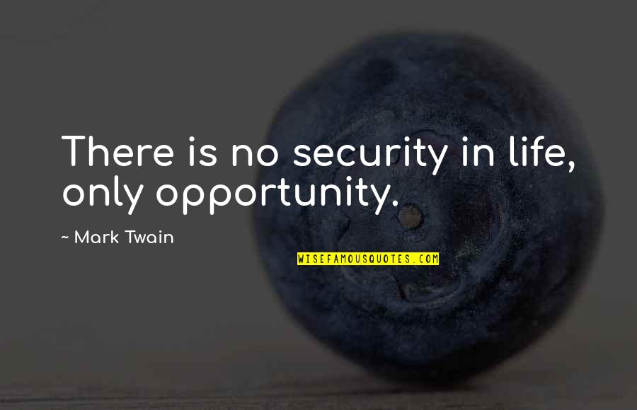 In Security Quotes By Mark Twain: There is no security in life, only opportunity.