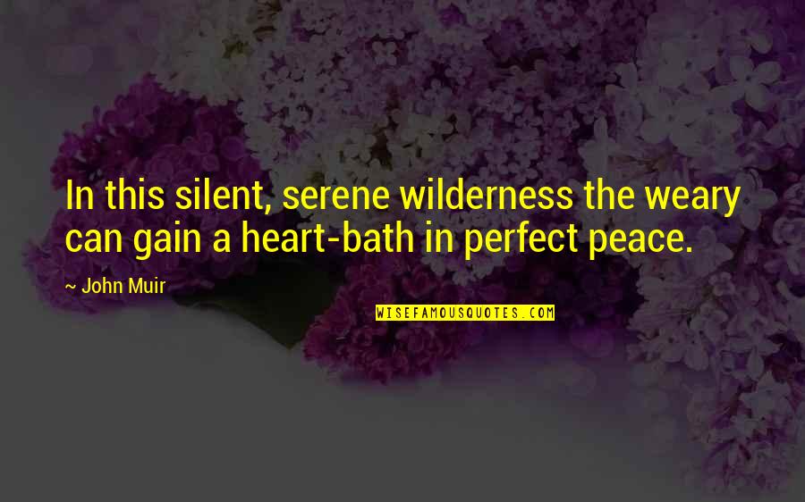 In The Bath Quotes By John Muir: In this silent, serene wilderness the weary can