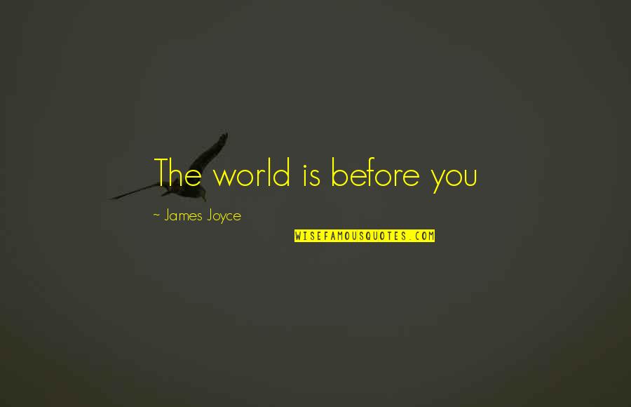 In The End Family Is All That Matters Quotes By James Joyce: The world is before you In The End Family Is All That Matters Quotes By James Joyce: The world is before you