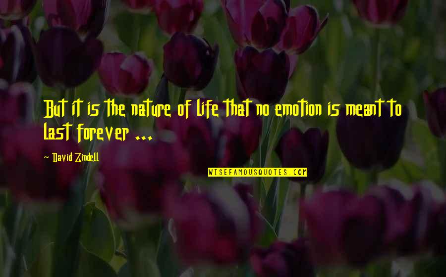 In The End I Still Love You Quotes By David Zindell: But it is the nature of life that