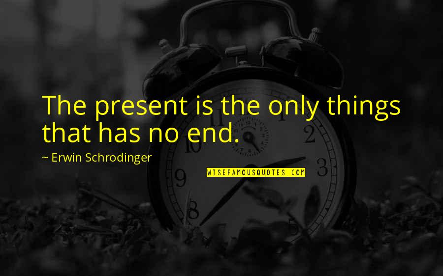 In The End It's Just You Quotes By Erwin Schrodinger: The present is the only things that has