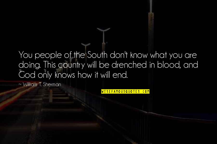 In The End It's Only You Quotes By William T. Sherman: You people of the South don't know what