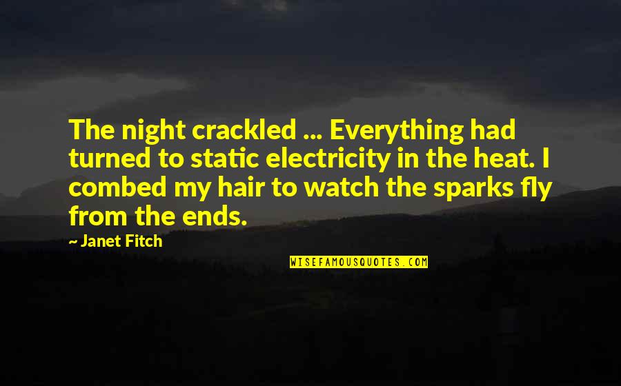In The Heat Of The Night Quotes By Janet Fitch: The night crackled ... Everything had turned to In The Heat Of The Night Quotes By Janet Fitch: The night crackled ... Everything had turned to