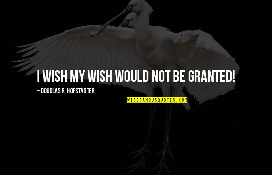 In The Loop Quotes By Douglas R. Hofstadter: I wish my wish would not be granted!