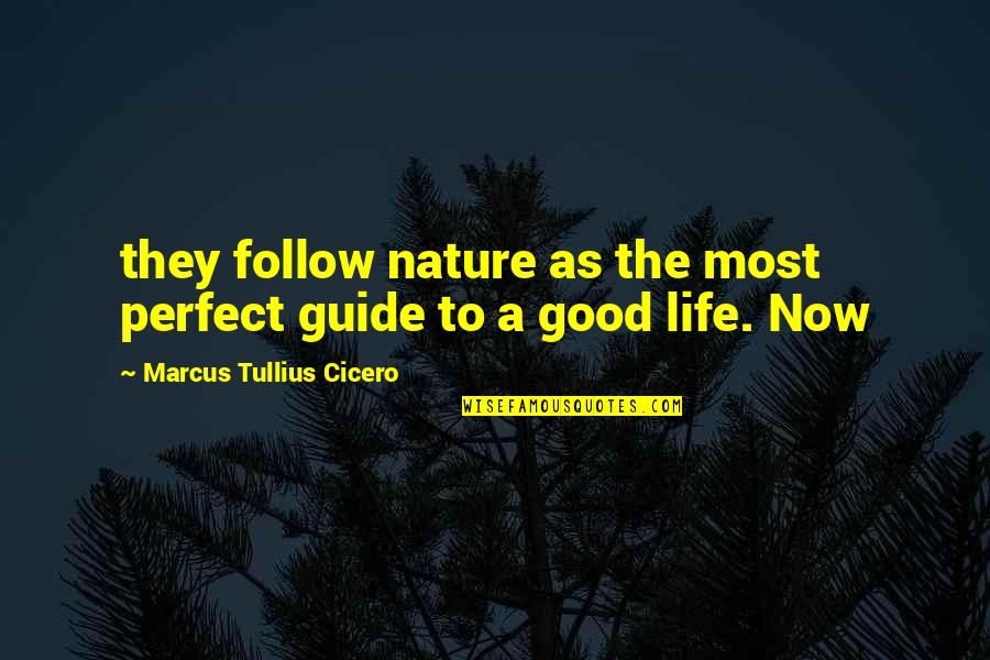 In The Loop Simon Foster Quotes By Marcus Tullius Cicero: they follow nature as the most perfect guide
