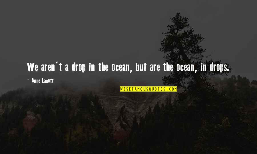 In The Ocean Quotes By Anne Lamott: We aren't a drop in the ocean, but