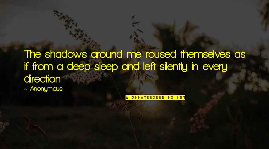 In The Shadows Quotes By Anonymous: The shadows around me roused themselves as if In The Shadows Quotes By Anonymous: The shadows around me roused themselves as if