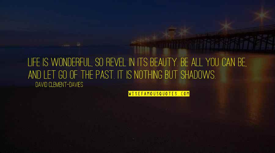 In The Shadows Quotes By David Clement-Davies: Life is wonderful, so revel in its beauty. In The Shadows Quotes By David Clement-Davies: Life is wonderful, so revel in its beauty.