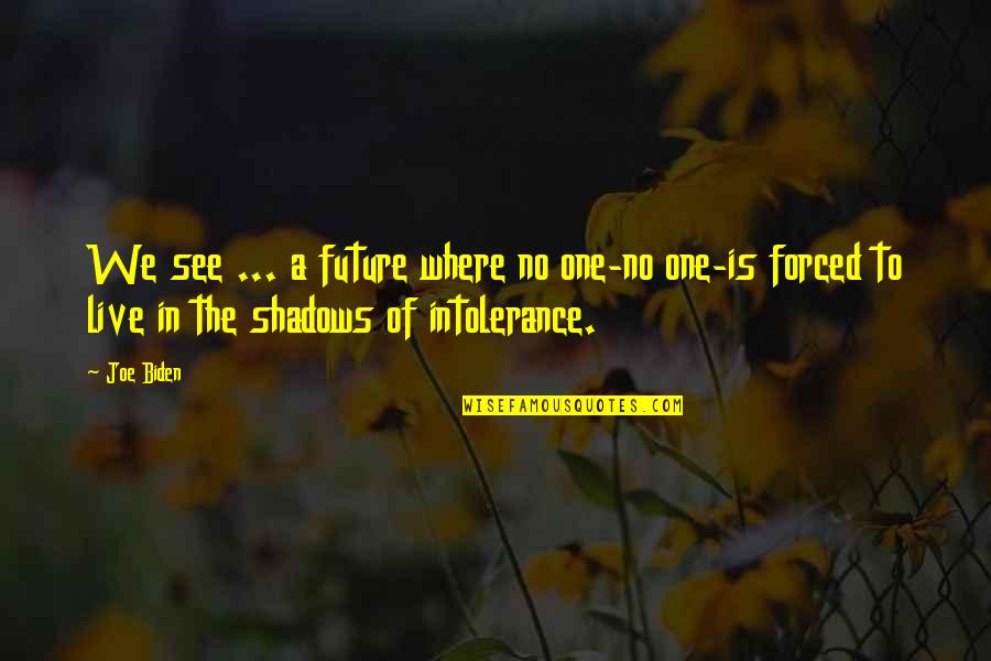 In The Shadows Quotes By Joe Biden: We see ... a future where no one-no In The Shadows Quotes By Joe Biden: We see ... a future where no one-no