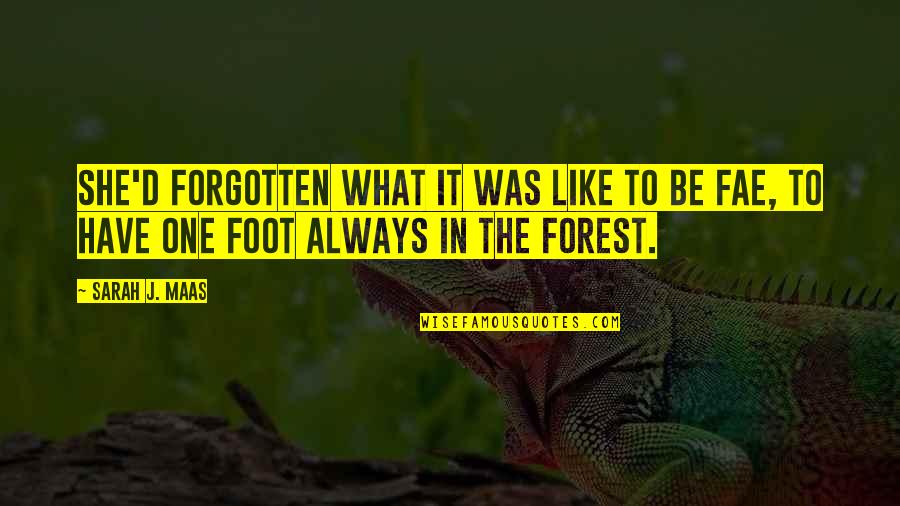 In The Shadows Quotes By Sarah J. Maas: She'd forgotten what it was like to be