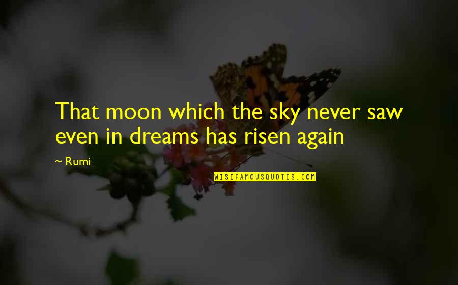 In The Sky Quotes By Rumi: That moon which the sky never saw even