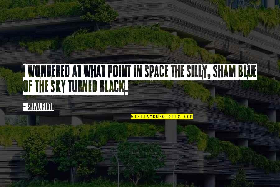 In The Sky Quotes By Sylvia Plath: I wondered at what point in space the