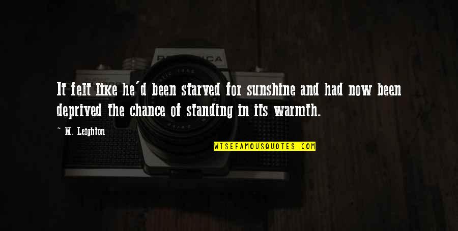 In The Sunshine Quotes By M. Leighton: It felt like he'd been starved for sunshine In The Sunshine Quotes By M. Leighton: It felt like he'd been starved for sunshine
