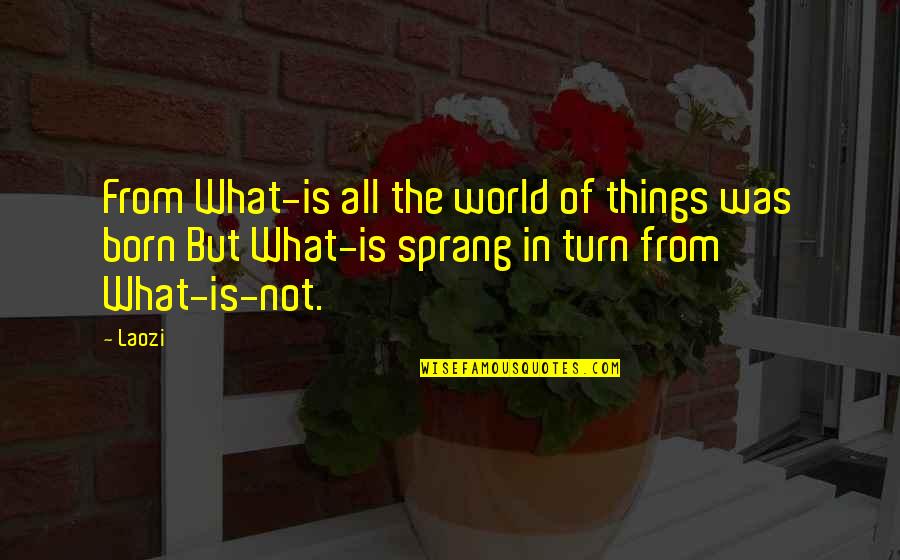 In The World But Not Of The World Quotes By Laozi: From What-is all the world of things was