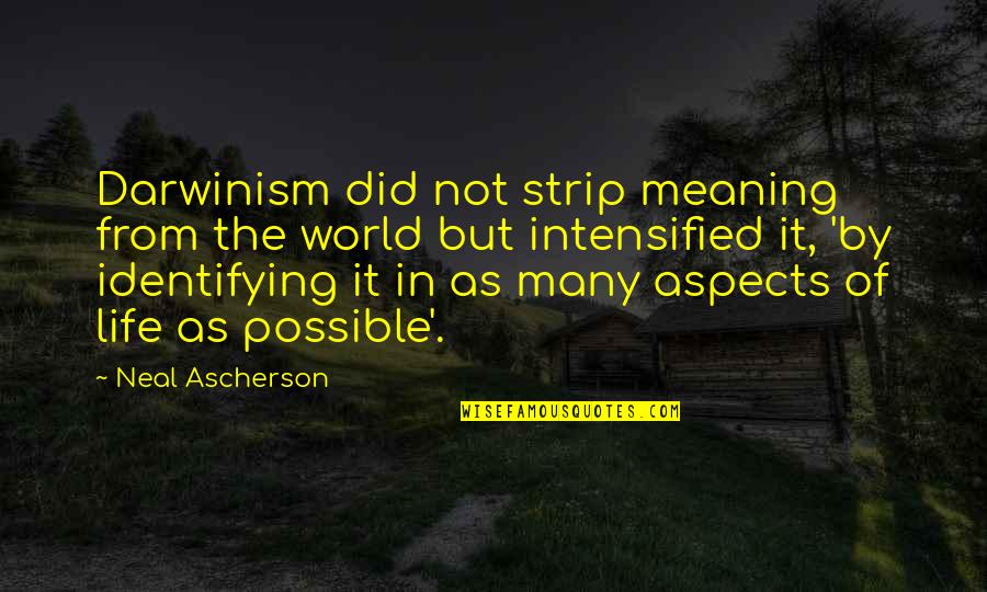 In The World But Not Of The World Quotes By Neal Ascherson: Darwinism did not strip meaning from the world