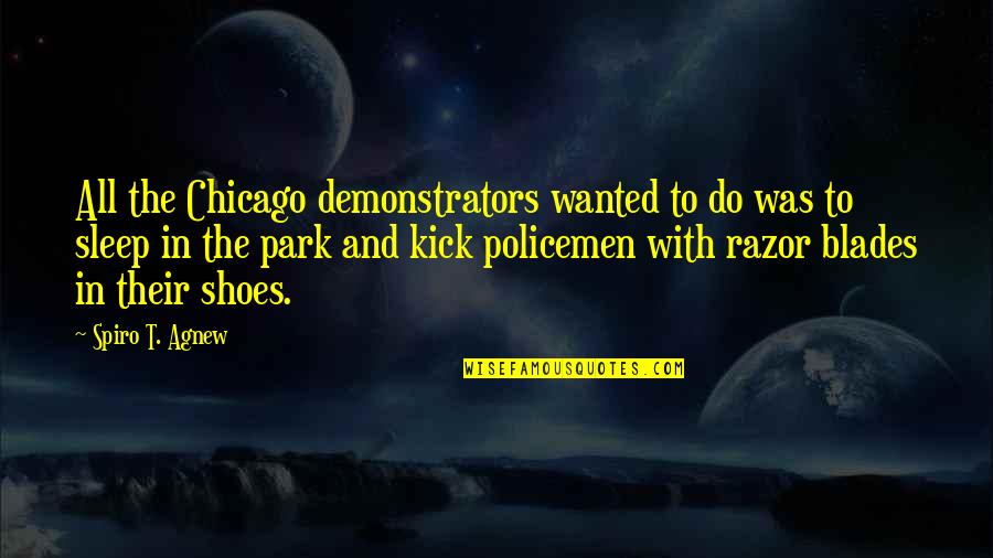 In Their Shoes Quotes By Spiro T. Agnew: All the Chicago demonstrators wanted to do was