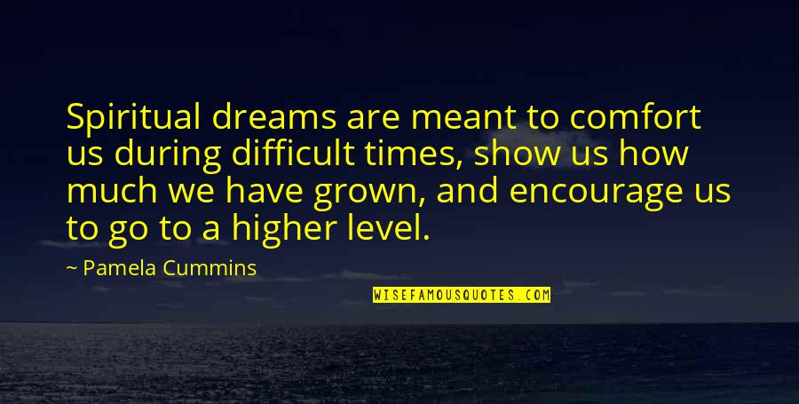 In These Difficult Times Quotes By Pamela Cummins: Spiritual dreams are meant to comfort us during