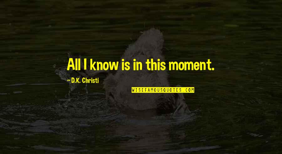 In This Moment Quotes By D.K. Christi: All I know is in this moment.