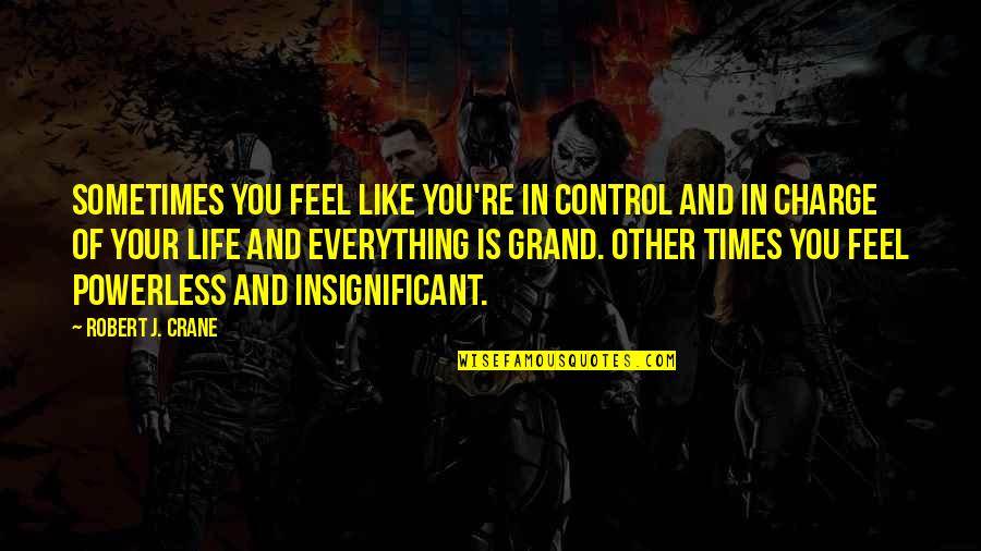 In Times Quotes By Robert J. Crane: Sometimes you feel like you're in control and