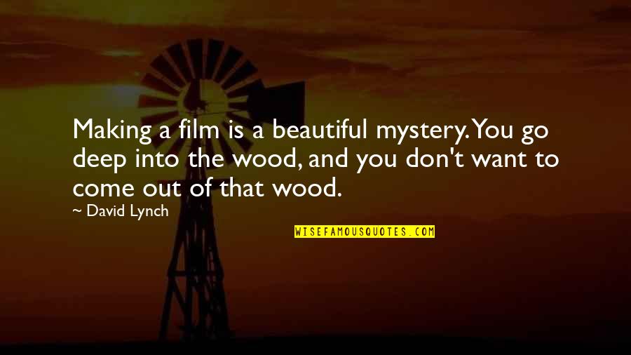 In Too Deep Film Quotes By David Lynch: Making a film is a beautiful mystery. You