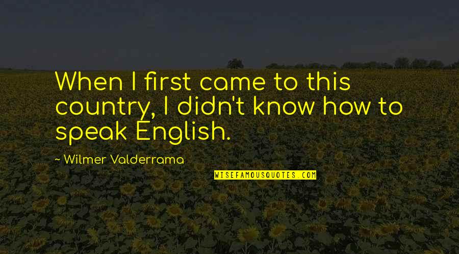 In Treatment Dane Dehaan Quotes By Wilmer Valderrama: When I first came to this country, I In Treatment Dane Dehaan Quotes By Wilmer Valderrama: When I first came to this country, I