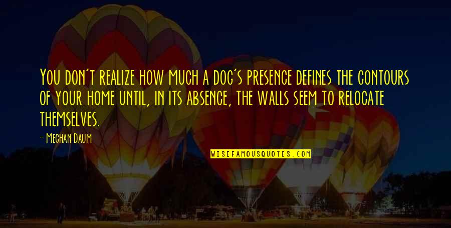 In Your Absence Quotes By Meghan Daum: You don't realize how much a dog's presence