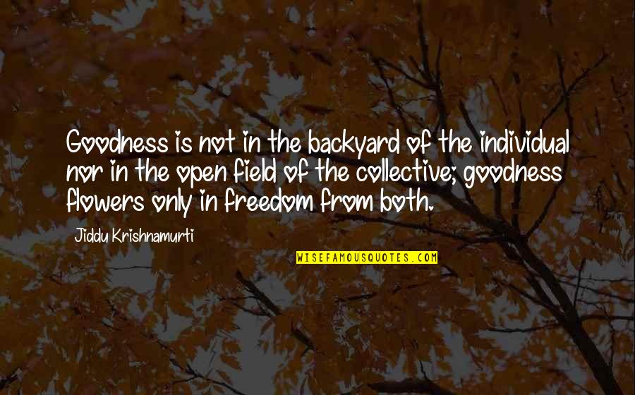 In Your Own Backyard Quotes By Jiddu Krishnamurti: Goodness is not in the backyard of the