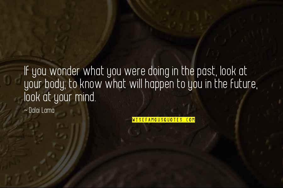 In Your Past Quotes By Dalai Lama: If you wonder what you were doing in