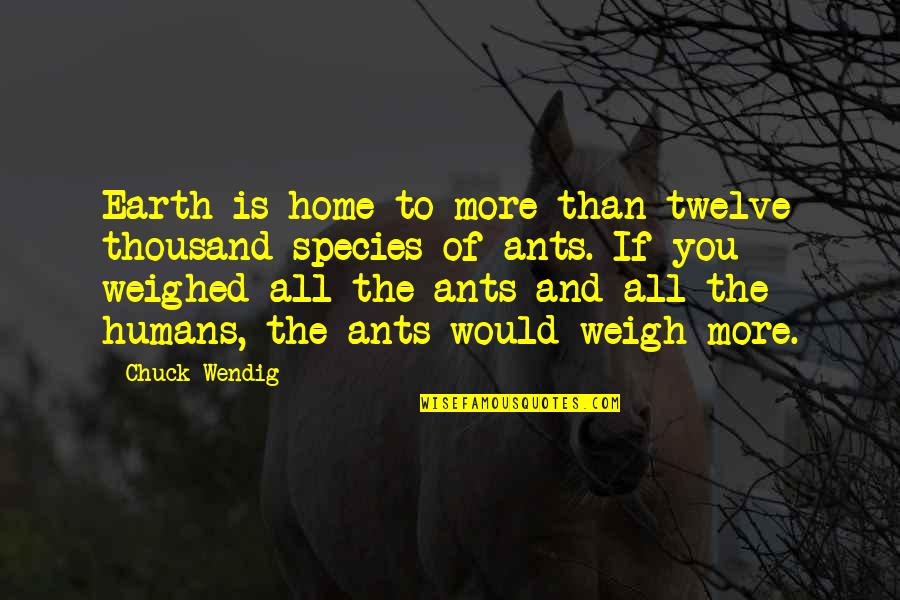 Inaara Aga Quotes By Chuck Wendig: Earth is home to more than twelve thousand