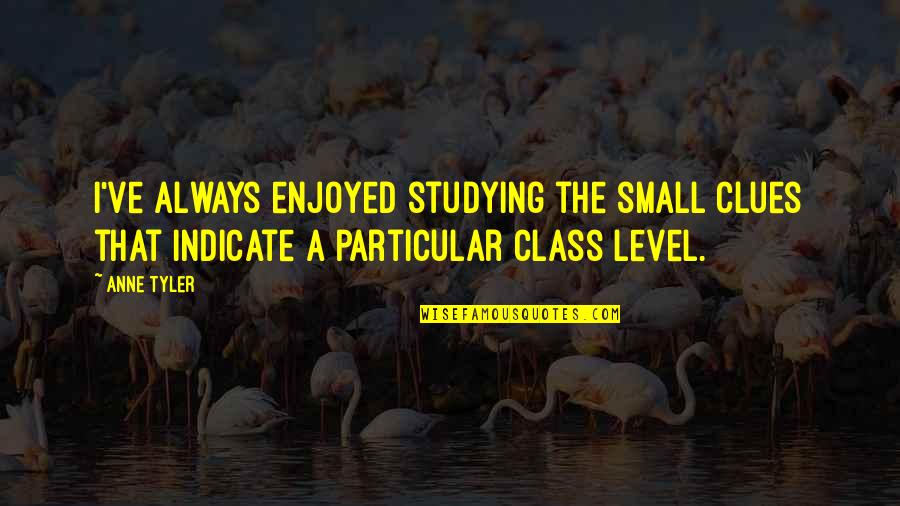 Inability To Communicate Quotes By Anne Tyler: I've always enjoyed studying the small clues that