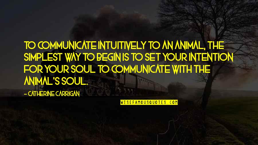 Inaceptable Significado Quotes By Catherine Carrigan: To communicate intuitively to an animal, the simplest