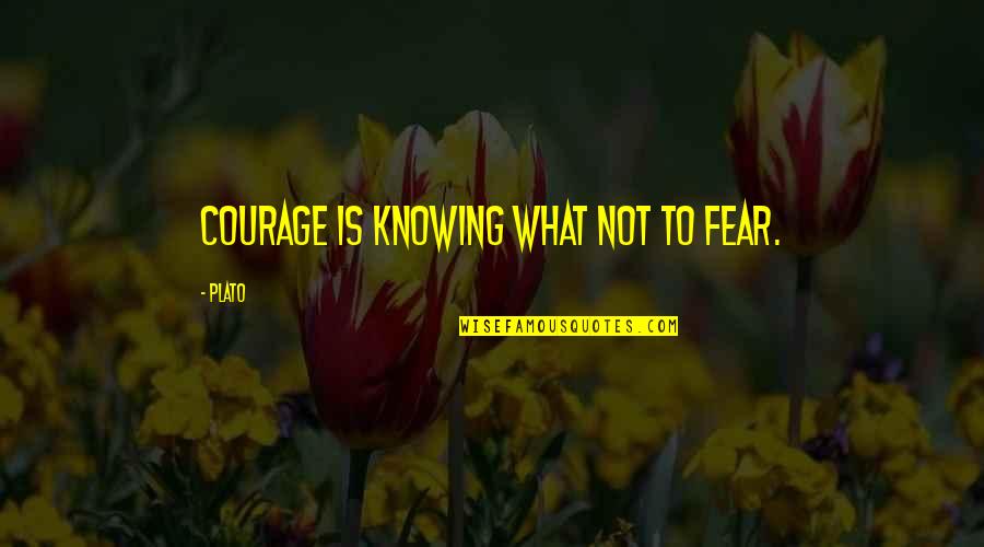 Inampudi Chakri Quotes By Plato: Courage is knowing what not to fear.
