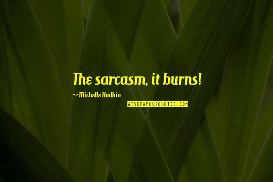 Inapporopriate Quotes By Michelle Hodkin: The sarcasm, it burns!