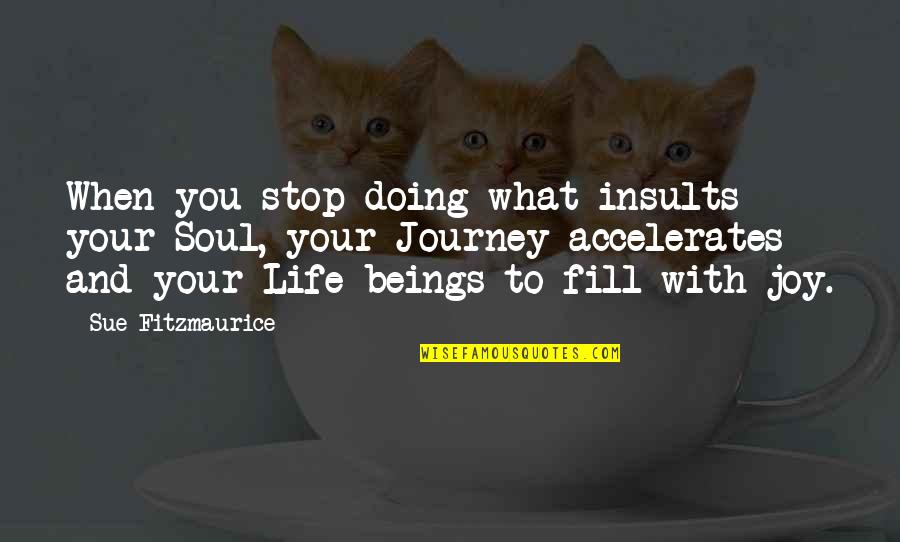 Inappropriately Funny Quotes By Sue Fitzmaurice: When you stop doing what insults your Soul,