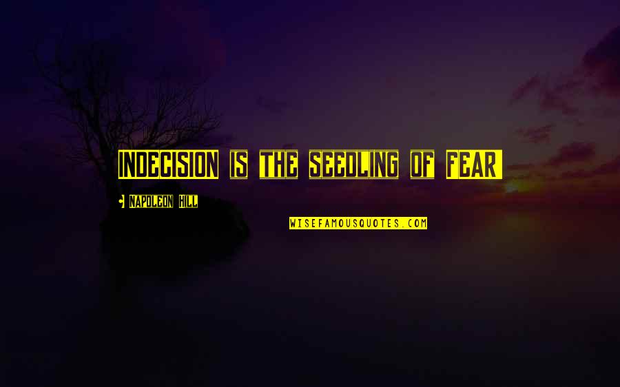 Inasmuch Quotes By Napoleon Hill: INDECISION is the seedling of FEAR!