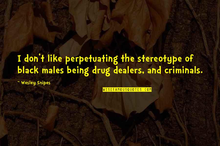 Inayet Delili Quotes By Wesley Snipes: I don't like perpetuating the stereotype of black