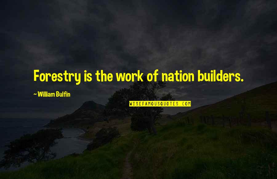 Inazuma Eleven Quotes By William Bulfin: Forestry is the work of nation builders.