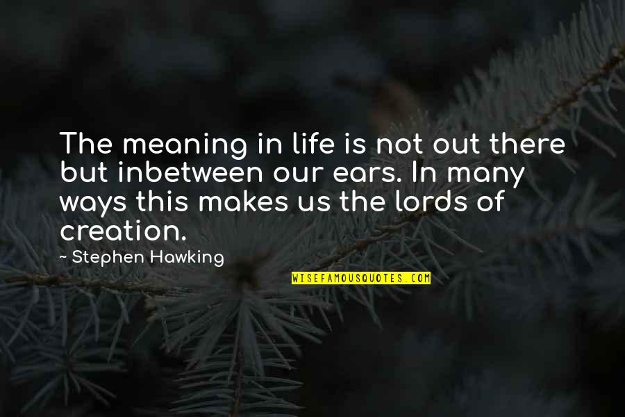 Inbetween Quotes By Stephen Hawking: The meaning in life is not out there