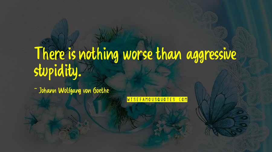 Incensed Quotes By Johann Wolfgang Von Goethe: There is nothing worse than aggressive stupidity.