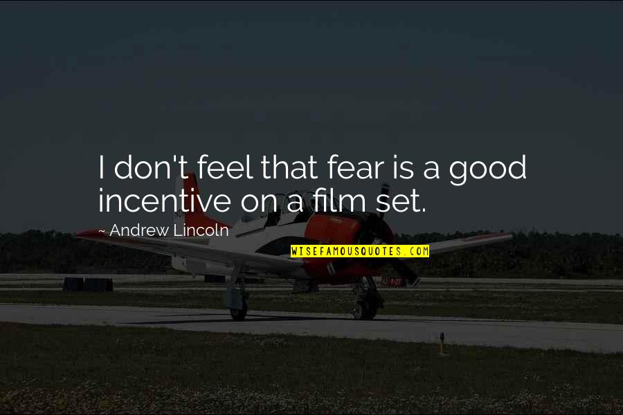 Incentive Quotes By Andrew Lincoln: I don't feel that fear is a good