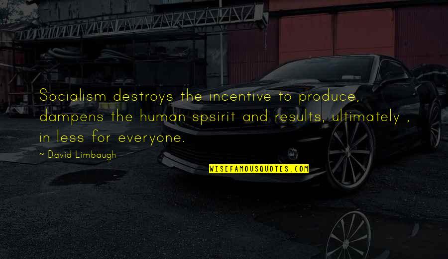 Incentives Quotes By David Limbaugh: Socialism destroys the incentive to produce, dampens the Incentives Quotes By David Limbaugh: Socialism destroys the incentive to produce, dampens the