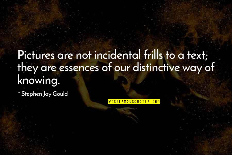 Incidental Quotes By Stephen Jay Gould: Pictures are not incidental frills to a text;