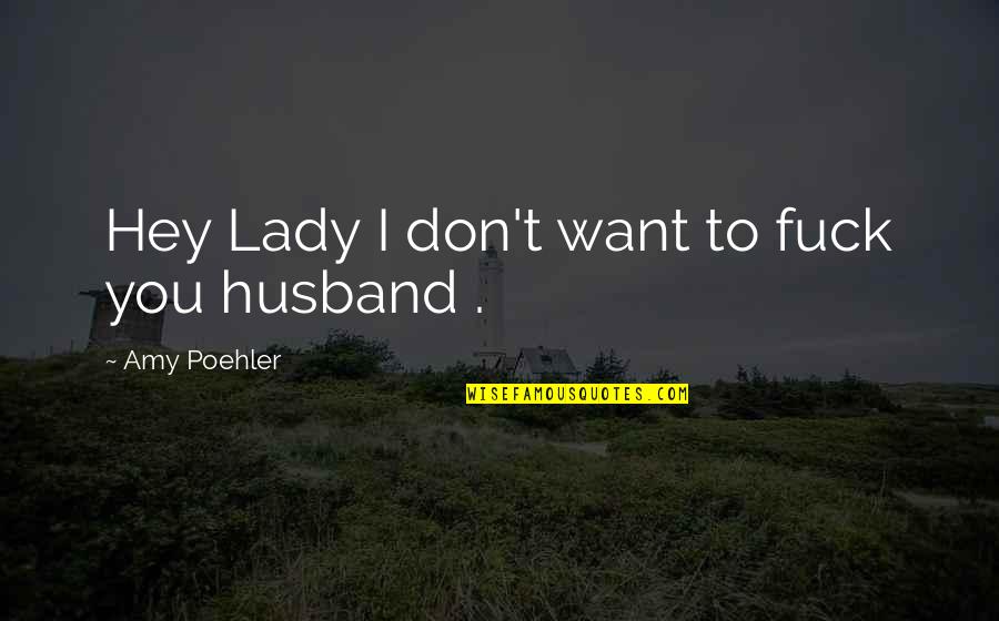Inciler Quotes By Amy Poehler: Hey Lady I don't want to fuck you Inciler Quotes By Amy Poehler: Hey Lady I don't want to fuck you