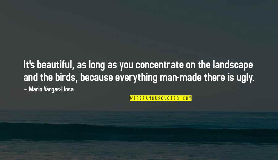 Incise Drape Quotes By Mario Vargas-Llosa: It's beautiful, as long as you concentrate on