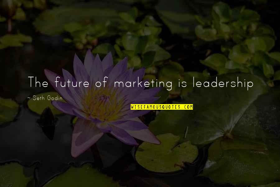Incisional Biopsy Quotes By Seth Godin: The future of marketing is leadership
